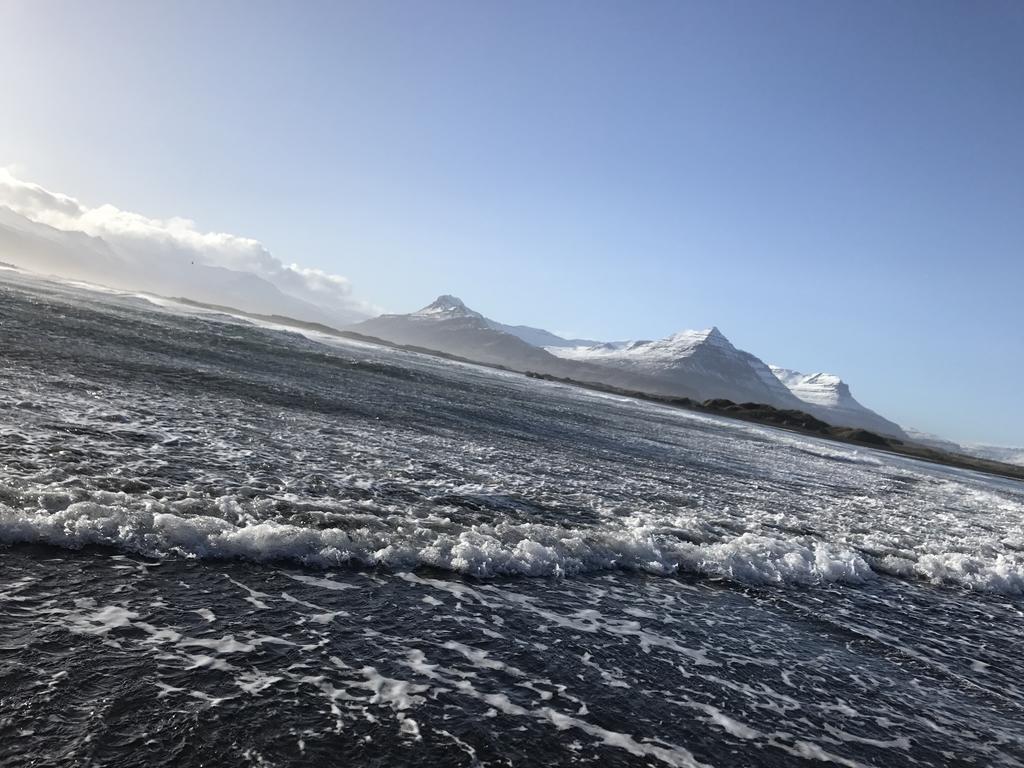 Framtid Camping Lodging Barrels Djúpivogur المظهر الخارجي الصورة